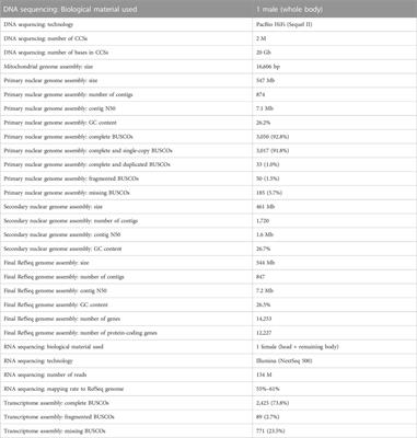 Whole genome sequence of a long-legged fly Condylostylus longicornis from Hawaiʻi